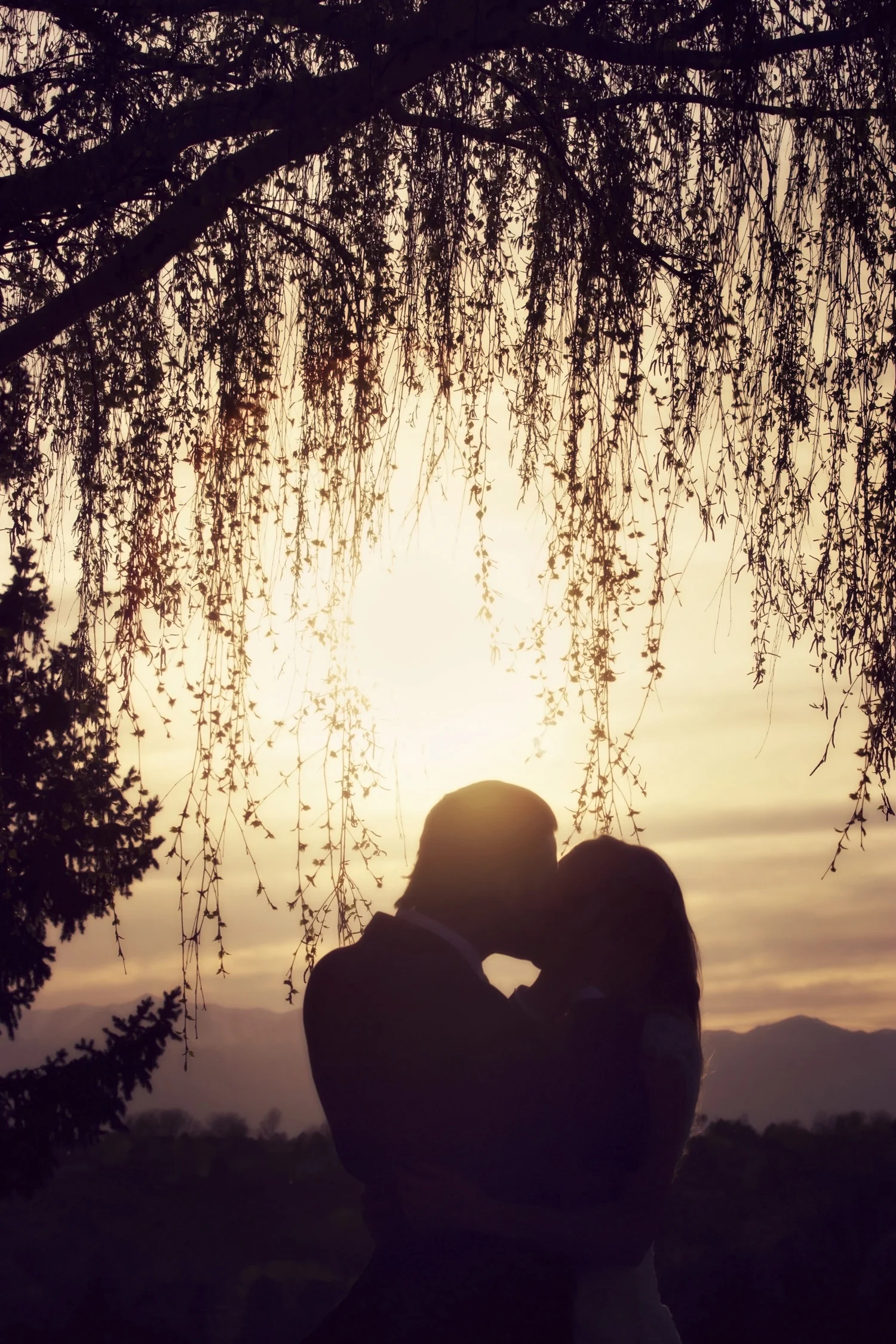 **This picture was taken by Rachel Urry of Grey Giraffe Photography team**