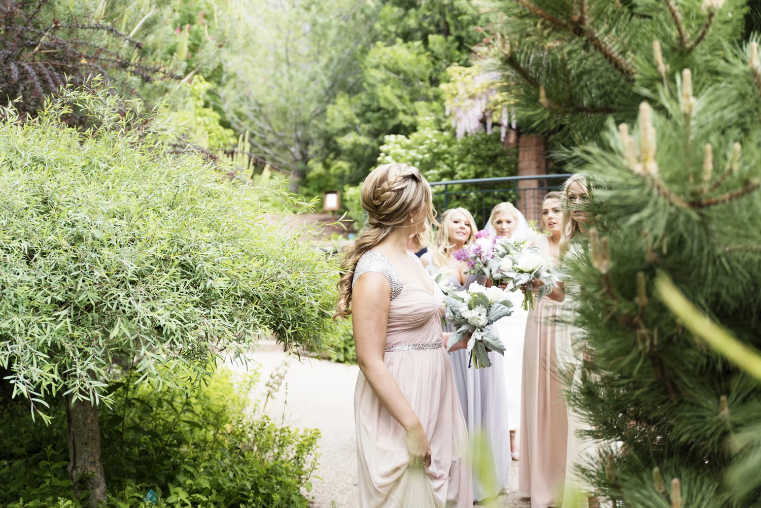 SDwed_99.jpg
