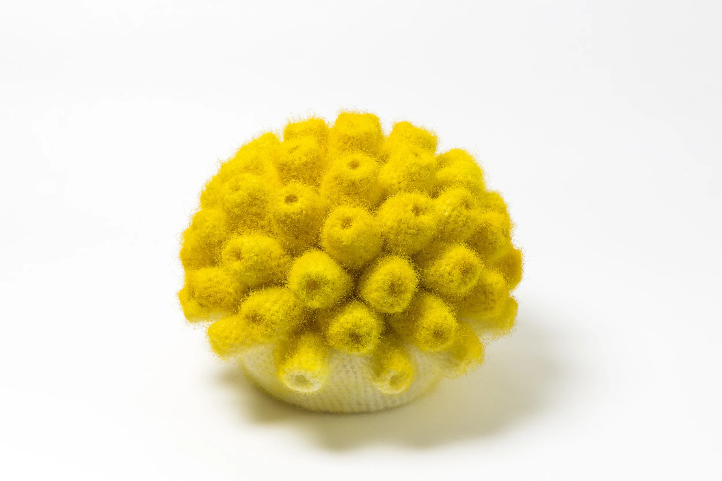 Yellow_temper.jpg