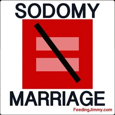 Dissent's profile picture on Twitter, a badge of homophobic ignorance.