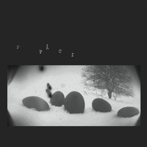 ptaci_motive_collection_CDfrontcover_small.jpg