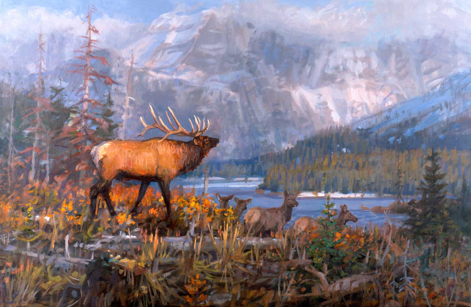 "Season of the Elk" by Joe Abbrescia