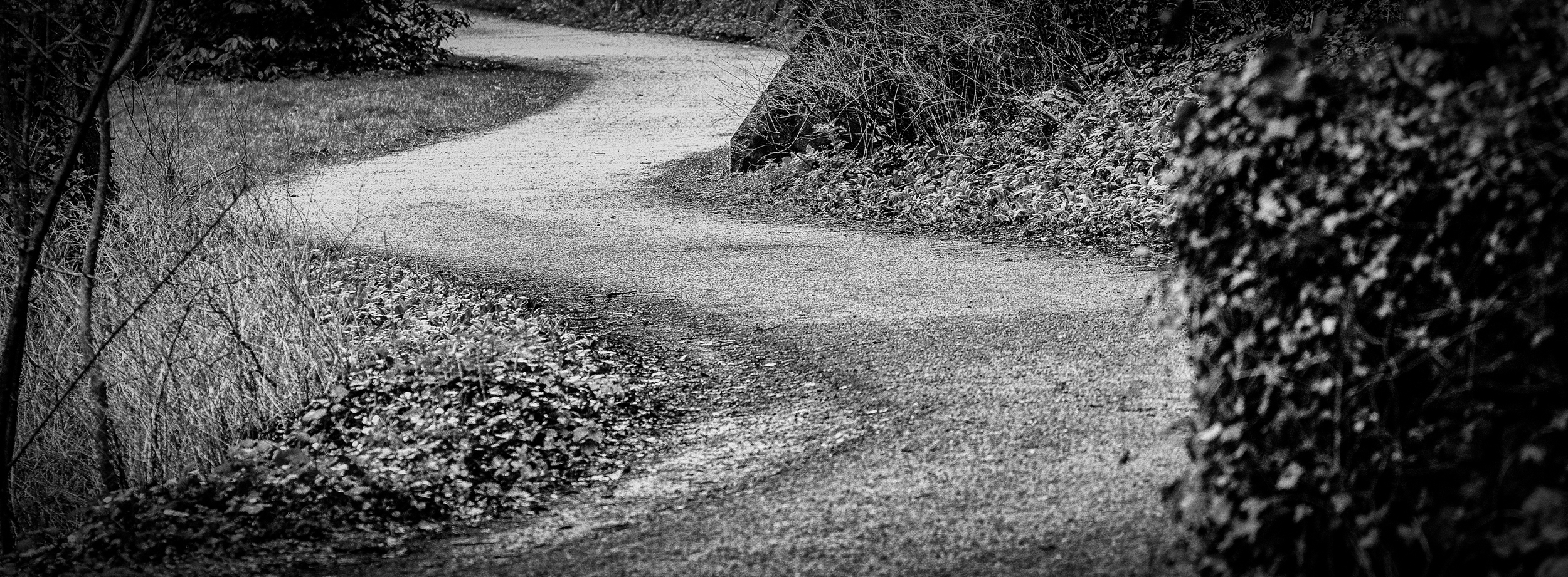 The Path