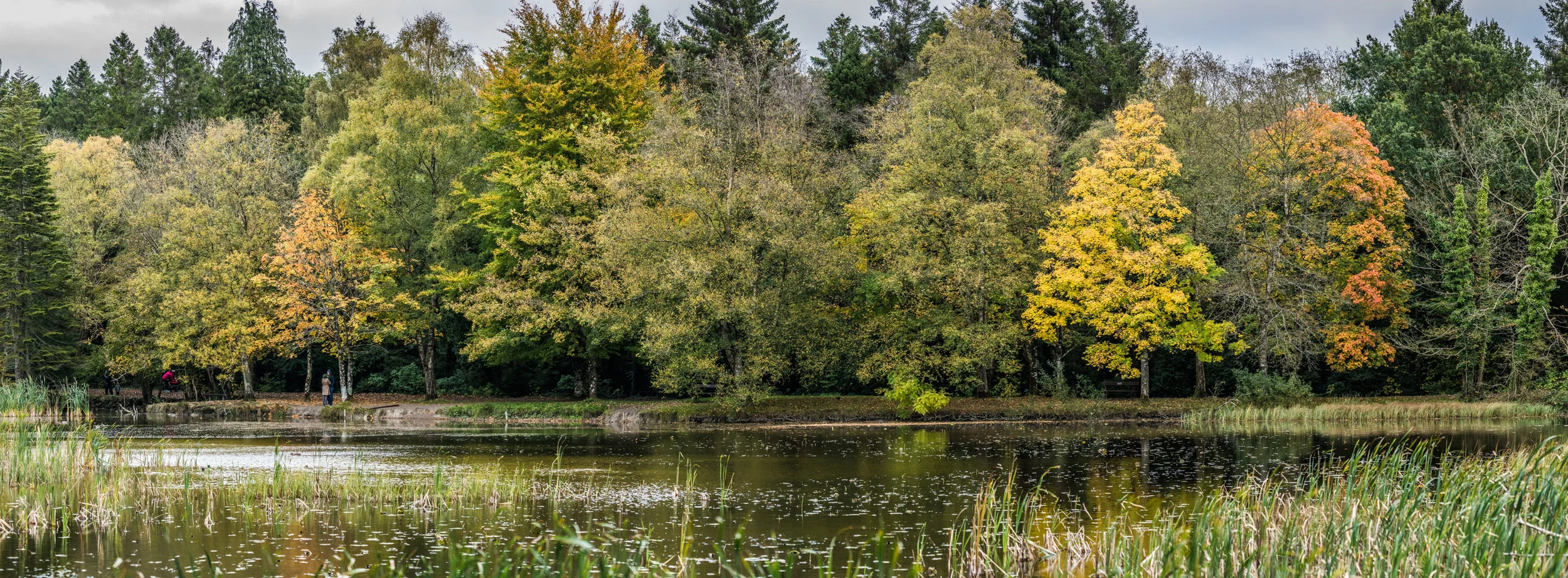 Donadea Autumn Colours