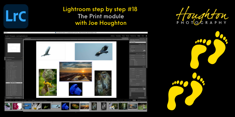 Lightroom step by step #18 - The Print module (820 × 410px).png