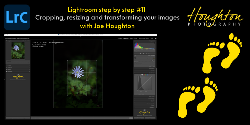 Lightroom step by step #11 - Cropping, resizing and transforming your images (820 × 410px).png