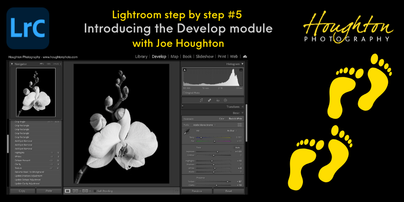 LR step by step - #05 - Introducing the Develop module (820 × 410px).png