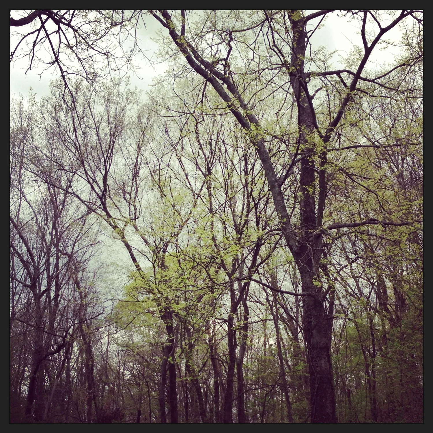 Choose Life! Happy Easter!