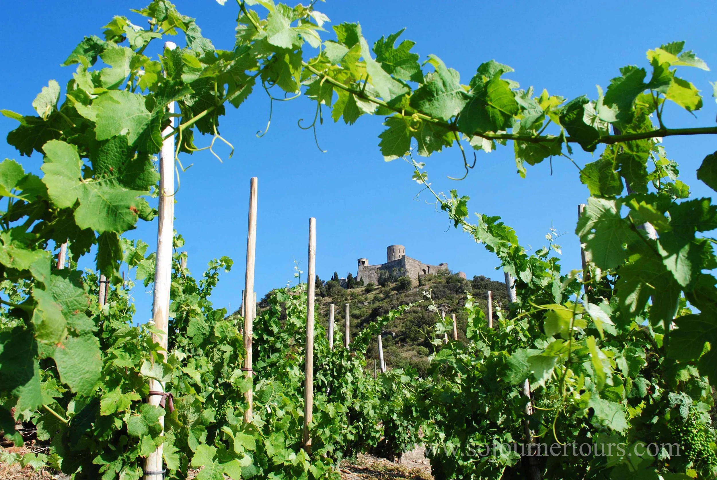 Collioure: Languedoc-Roussillon, France (Sojourner Tours)