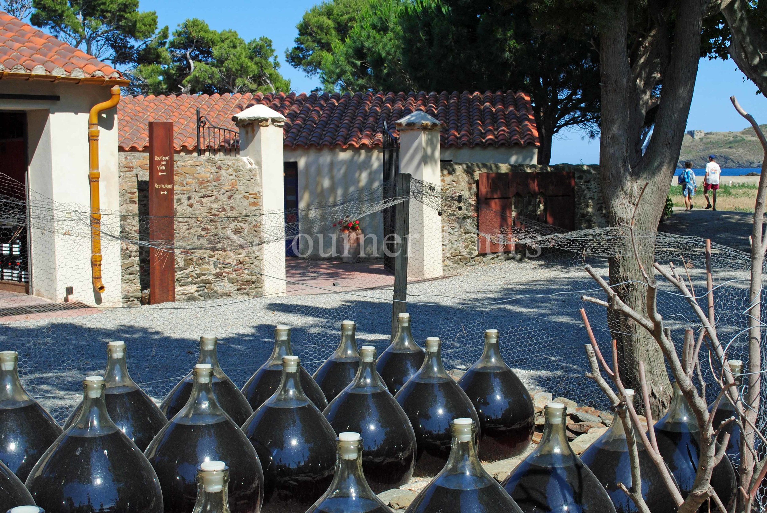 Hiking & Wine Tasting on the Vermillion Coast