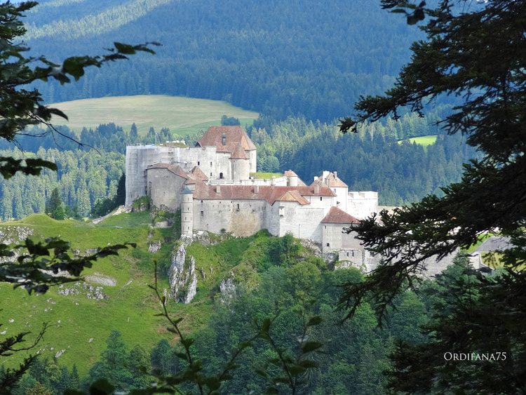 Chateau de Joux.jpg