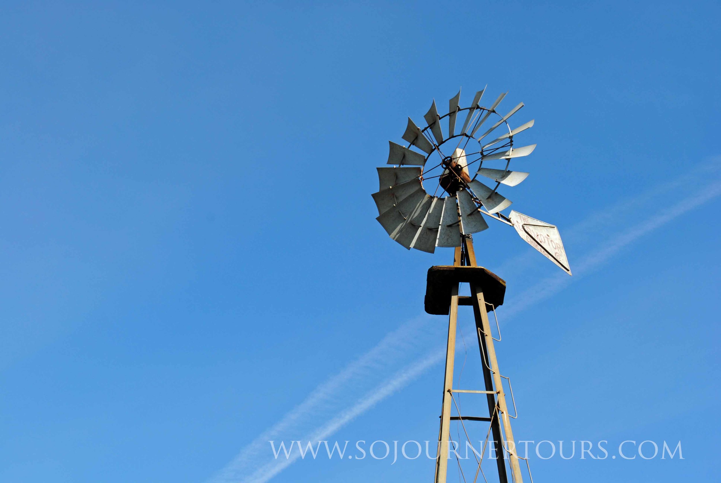 DSC_0356.jpg