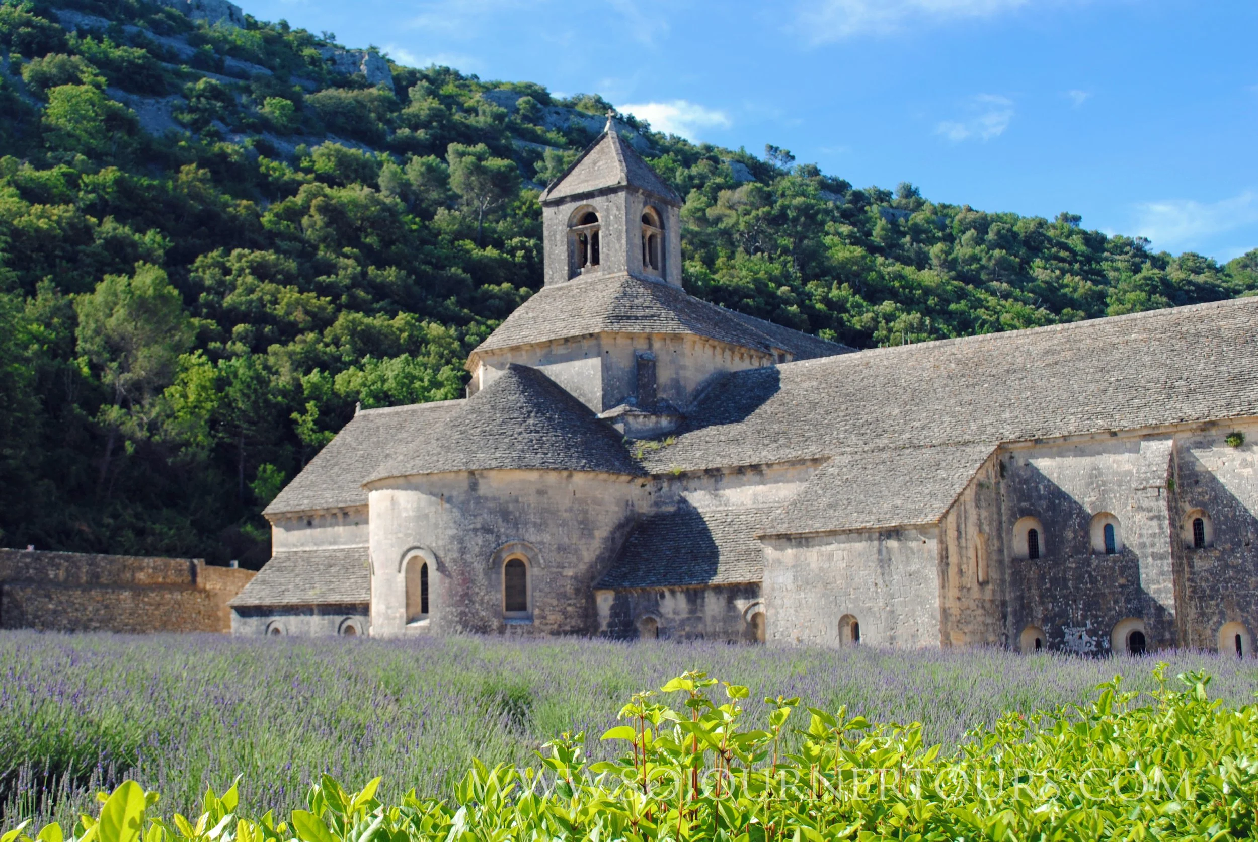 Hill Country in Provence 005.jpg