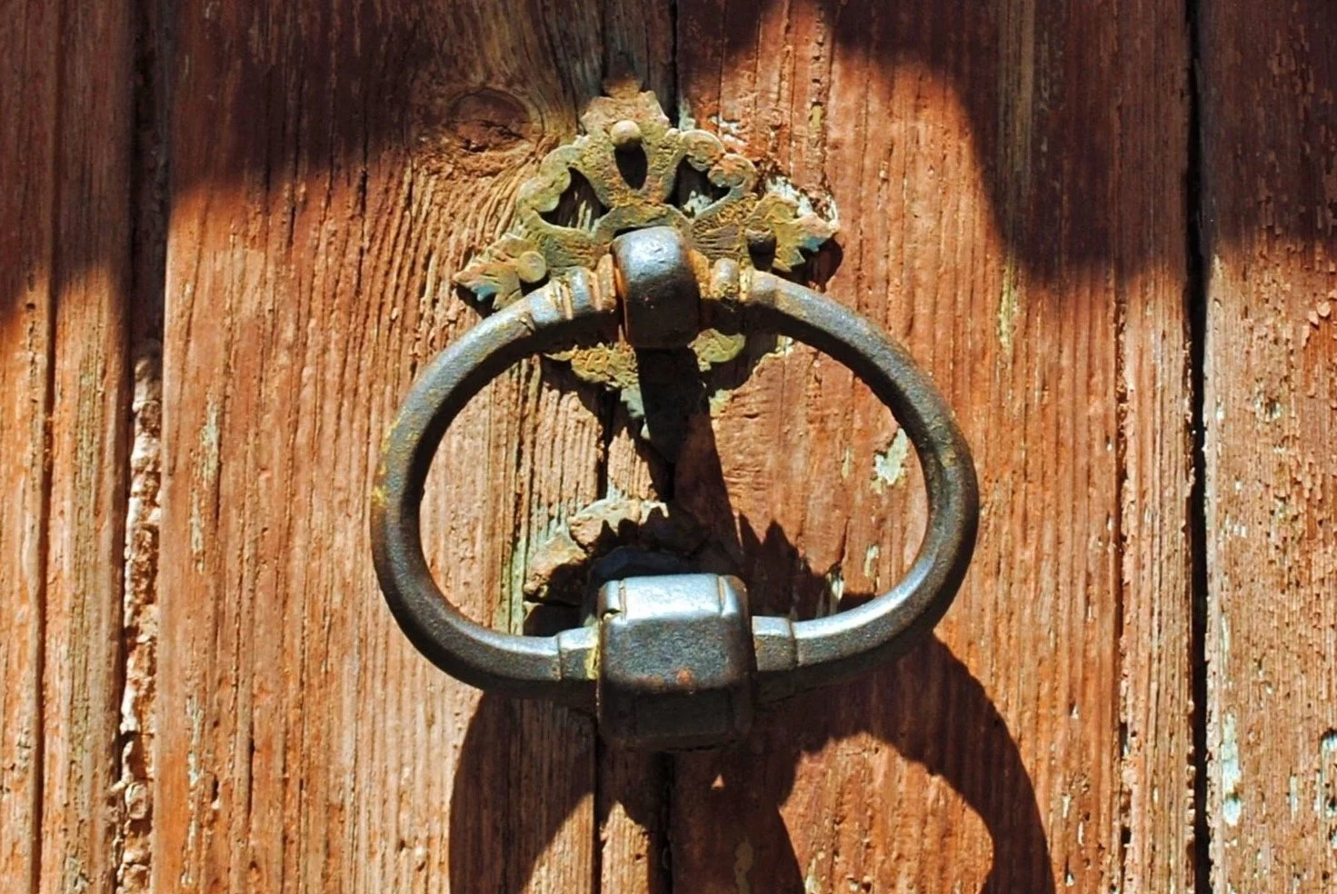 Provence Monica's Group_0324.jpg