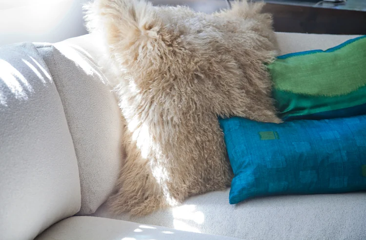 peterdetailsofa.jpg