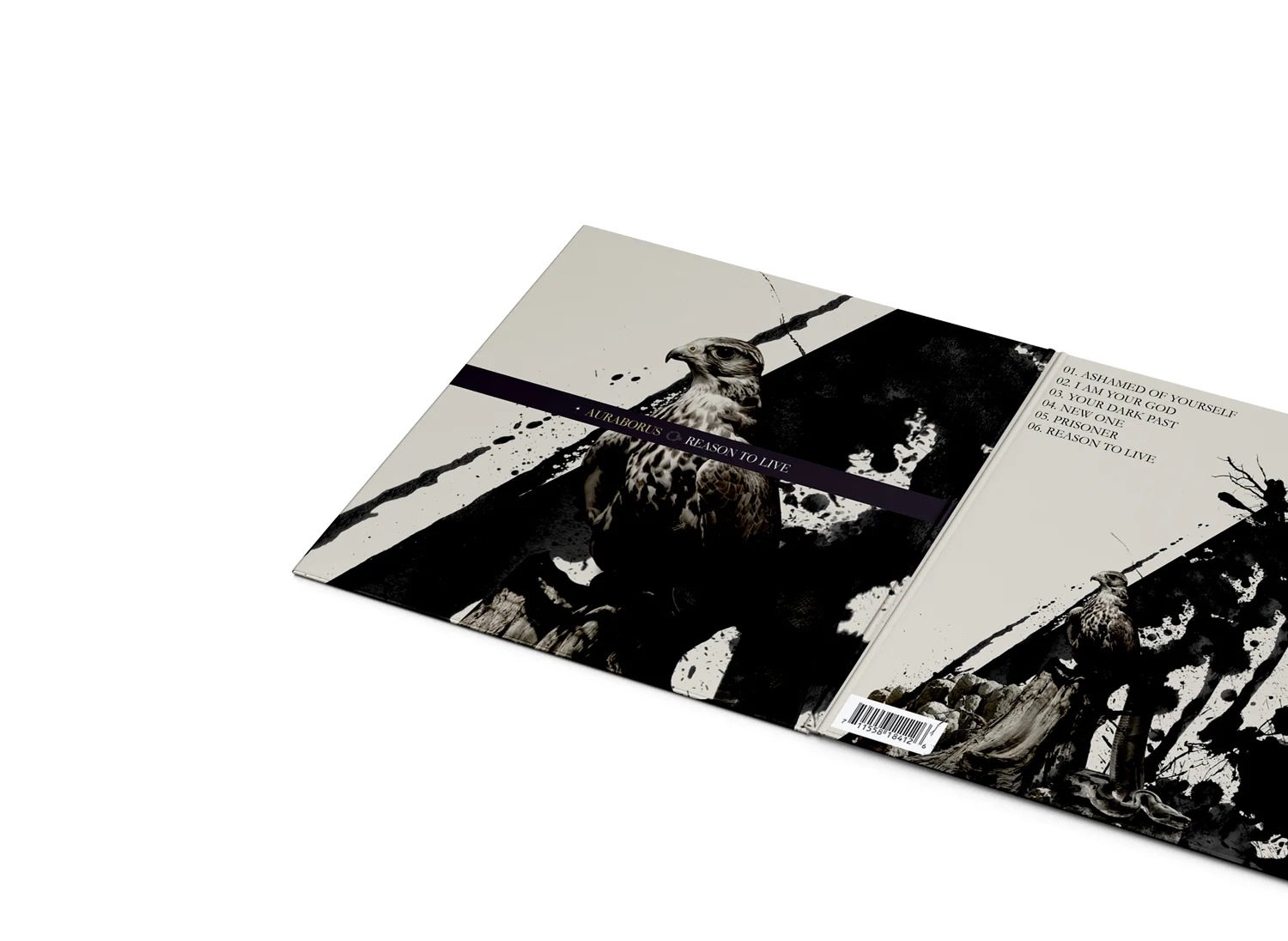 Web_Comps_083013__0006_Auraborus 3.jpg
