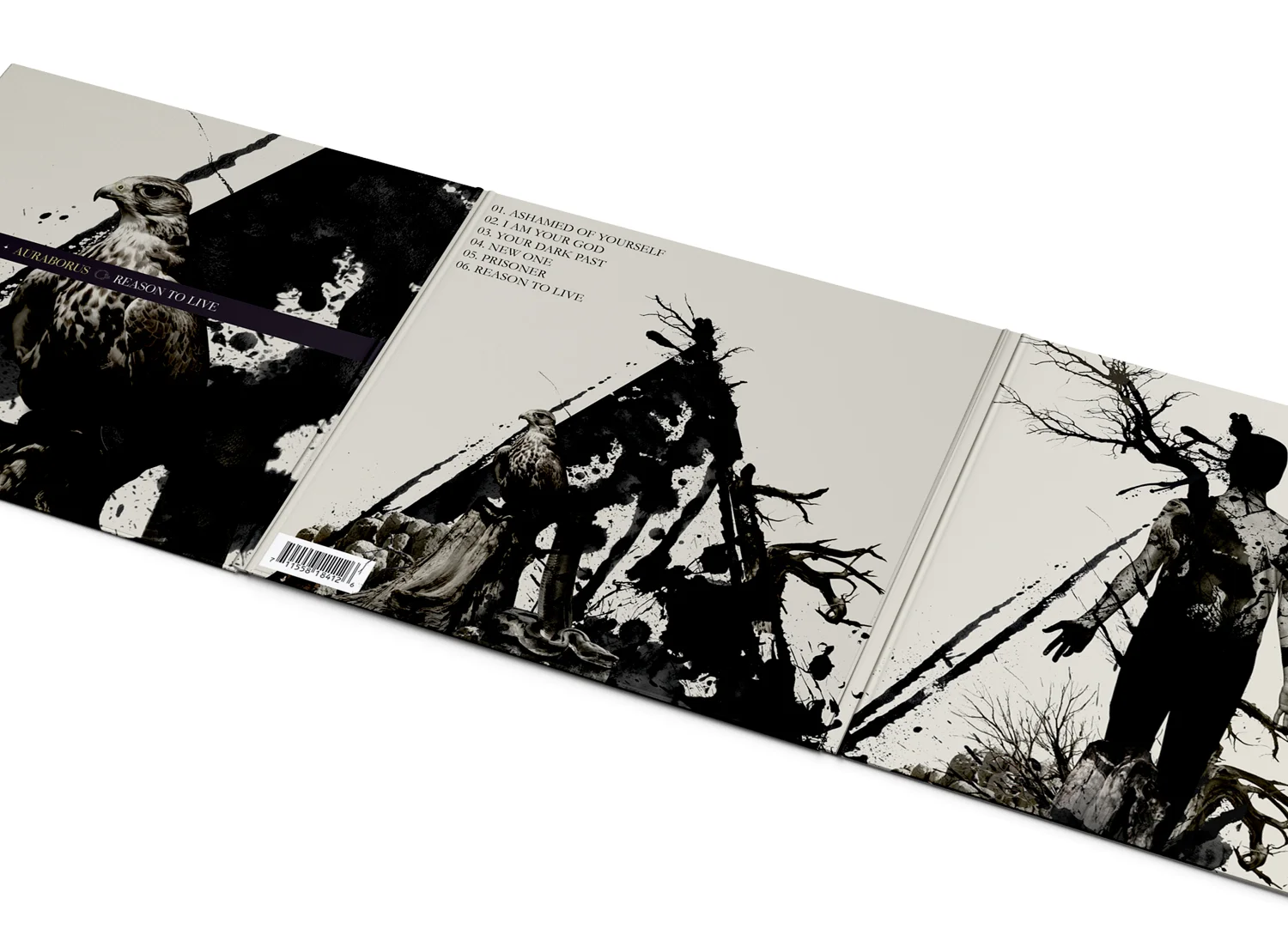Web_Comps_083013__0007_Auraborus 4.jpg