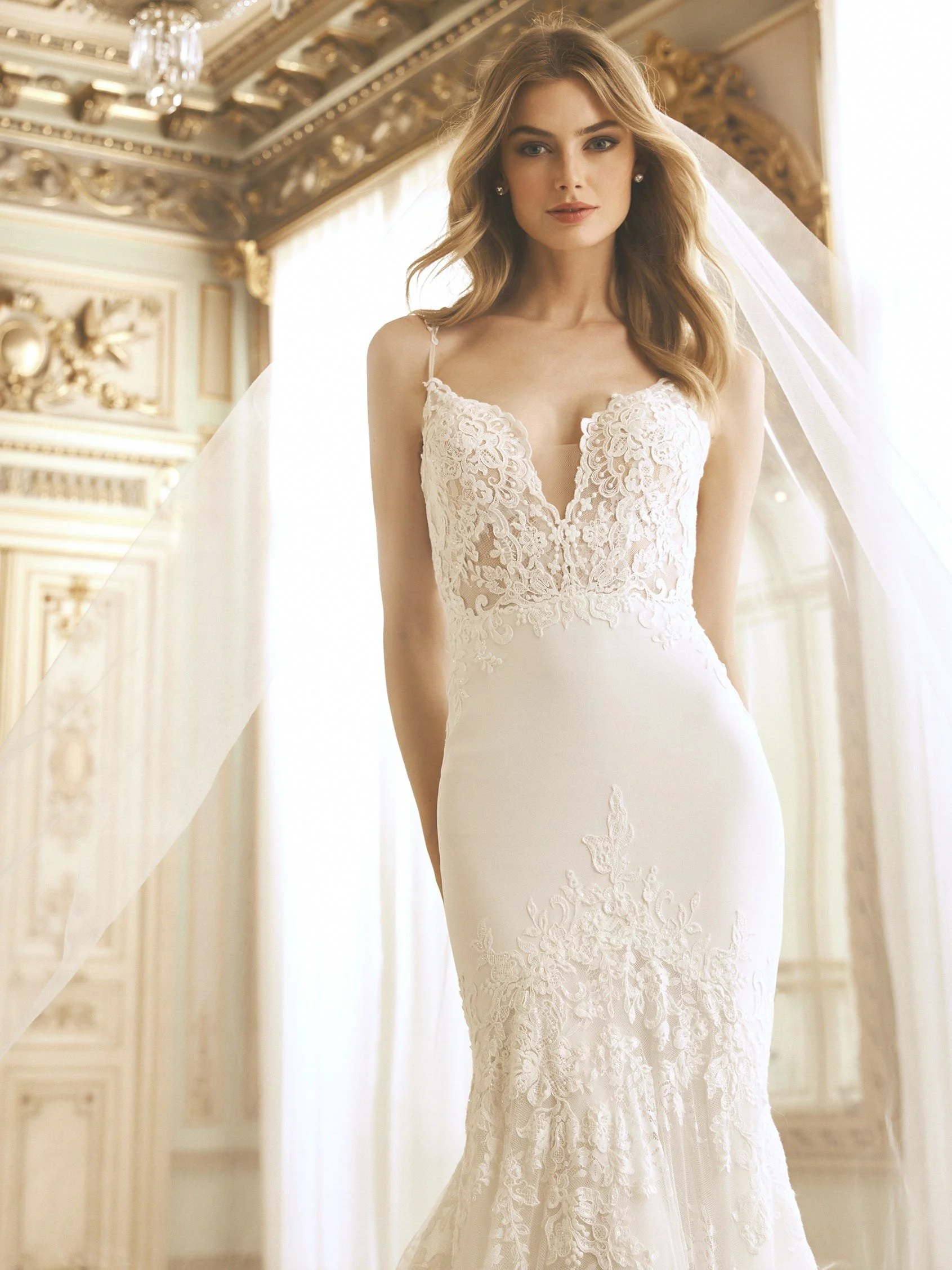Pronovias — Petrov Bridal Boutique 
