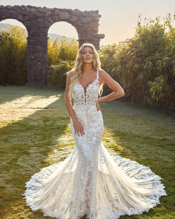 New in the Boutique!

Meet Carly, EK1705 newest addition to the Eddy K 2025 Collection❤️

Fit-n-Flare gown with ivory lace over Champagne tulle and Chantilly lace, stretchy lining, unlined bodice, buttons to end of the train. 

Sample size 10

How co