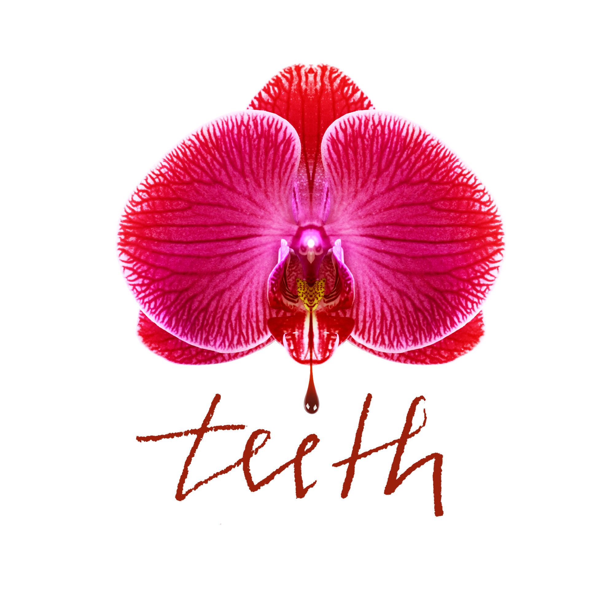 Teeth.png