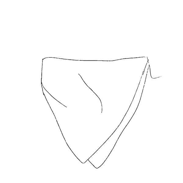 DO-bandanaIllustration-Timelapse_2_1.gif