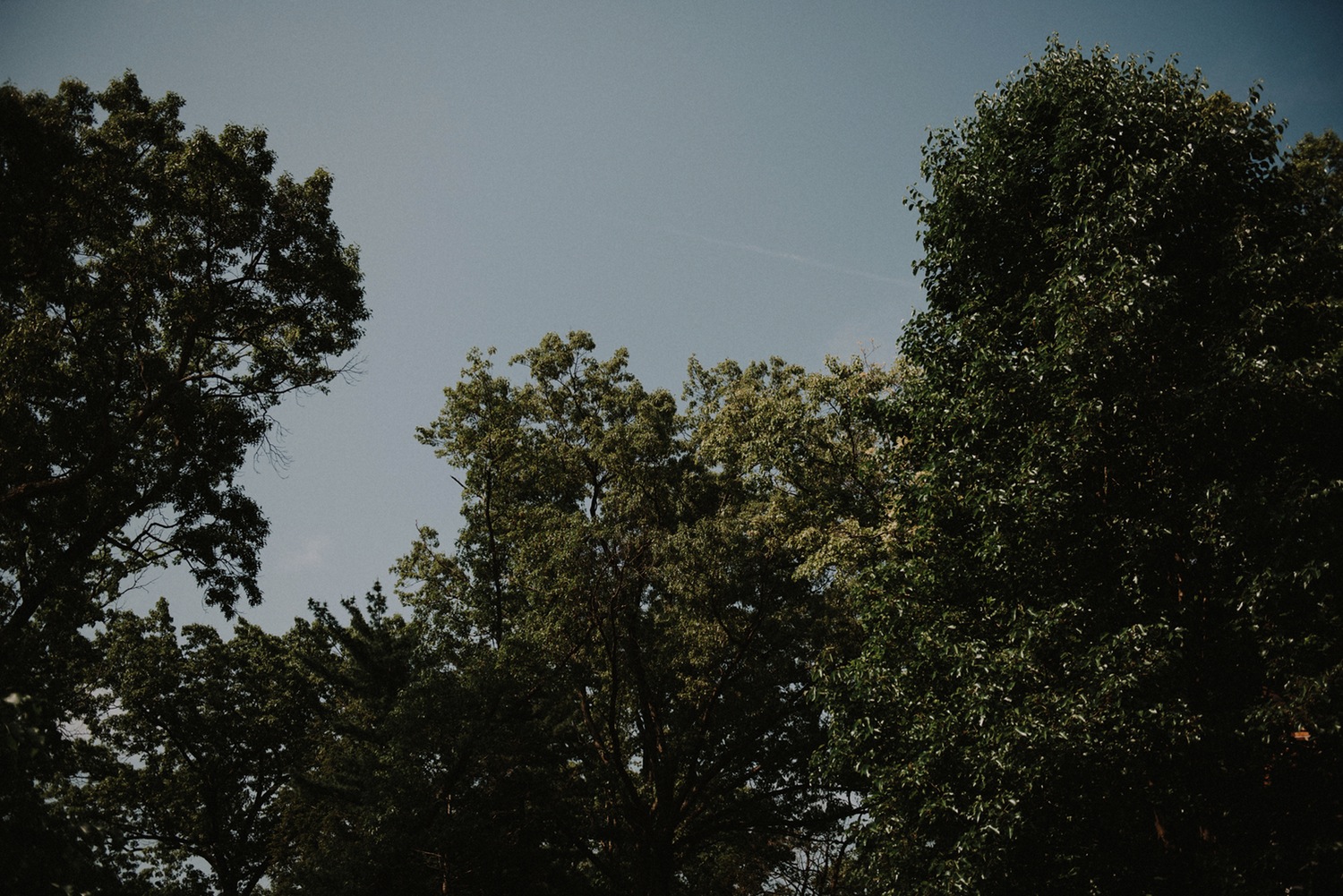  Rosey Red Photograpy showcases Caleb + Olivia