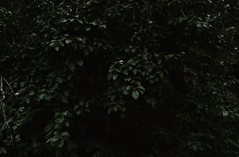 RRP-AlexandCharlie-2b.gif