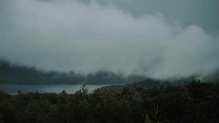 Timelapse_2.gif