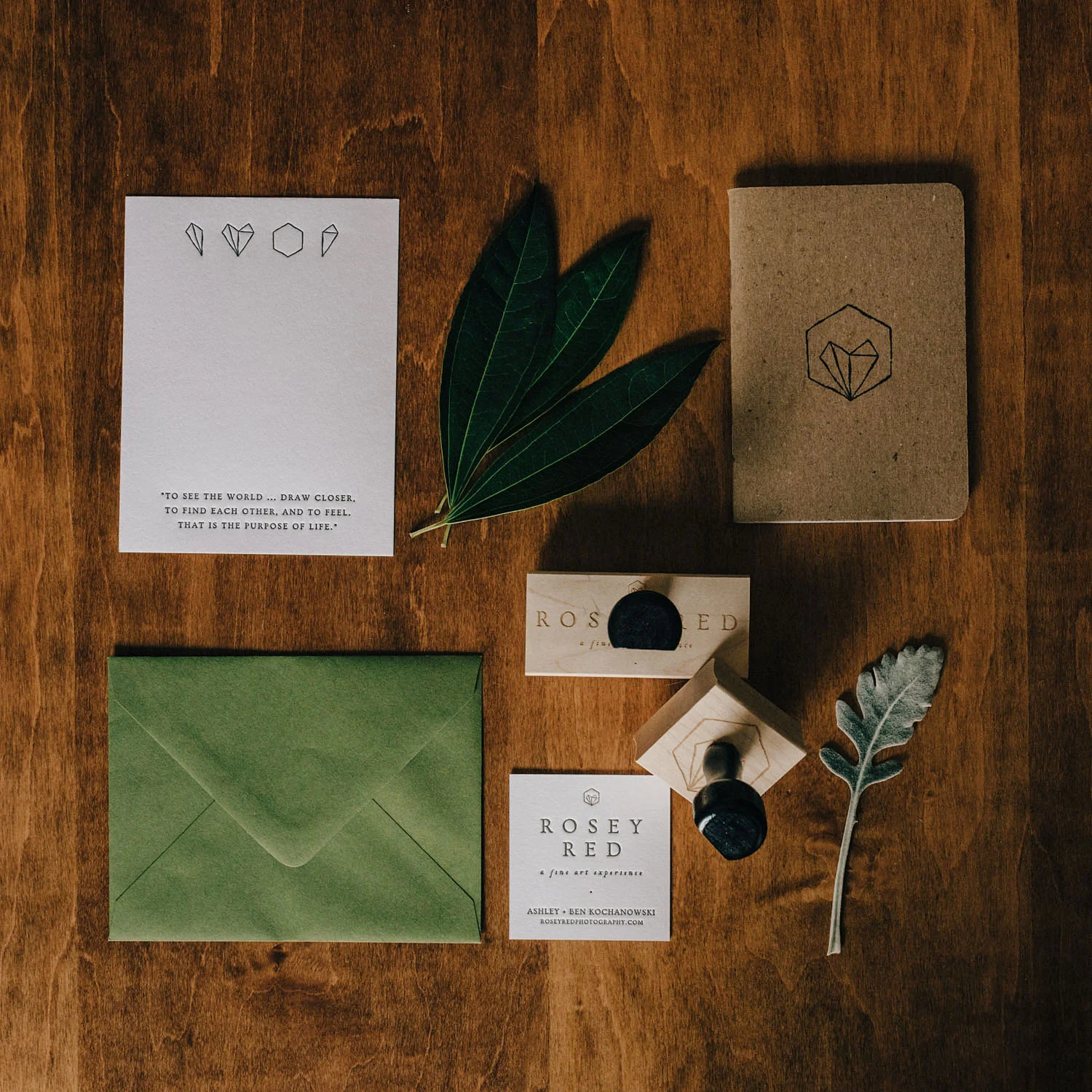 A Passionate Brand Experience // Our New Brand // 315 Design