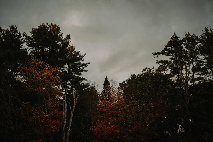 New England Fall Foliage Elopement in Maine.jpg