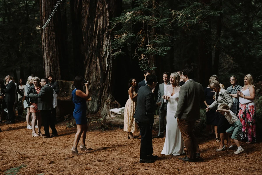 Bay Area Redwoods Wedding at The Island Farm.jpg
