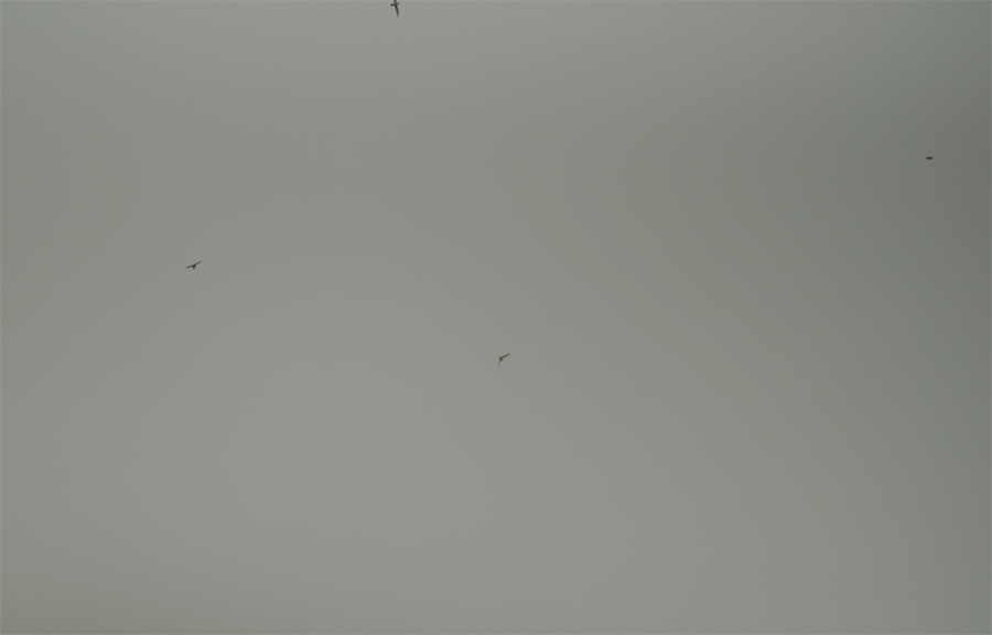 Western Iceland Adventure Elopement0111.gif