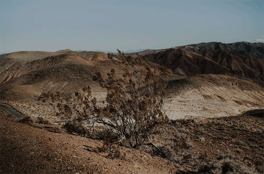 Death Valley Desert Elopement0009.gif