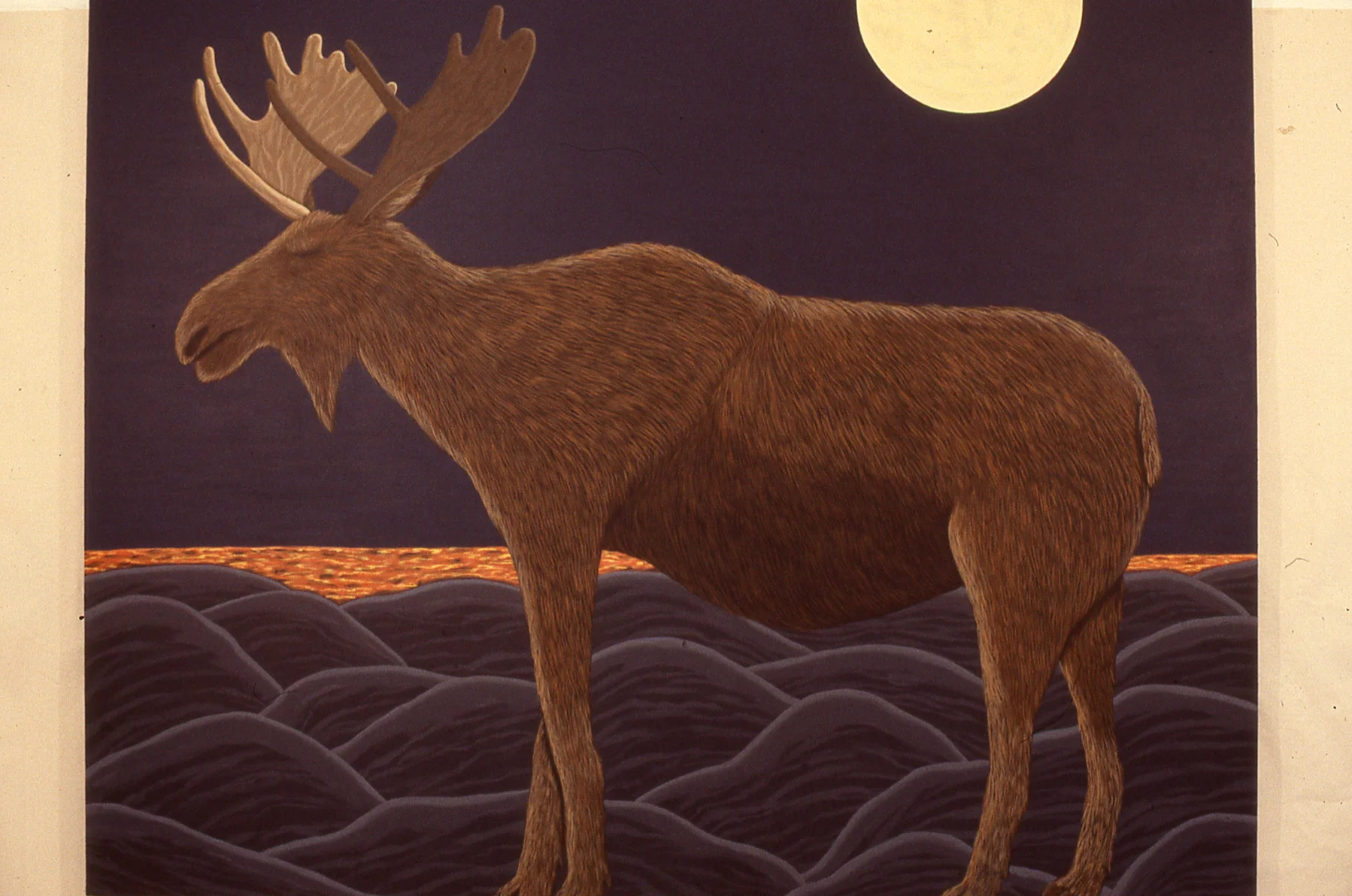 The Last Moose