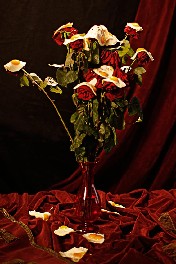  Book Project   Back to Collaborations    &nbsp; 