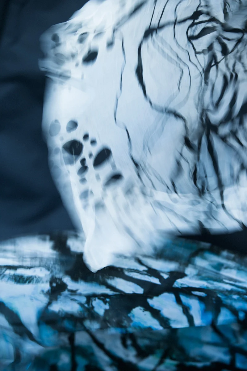  Ice Ice Baby by Martin Bergström   Back to Collections  