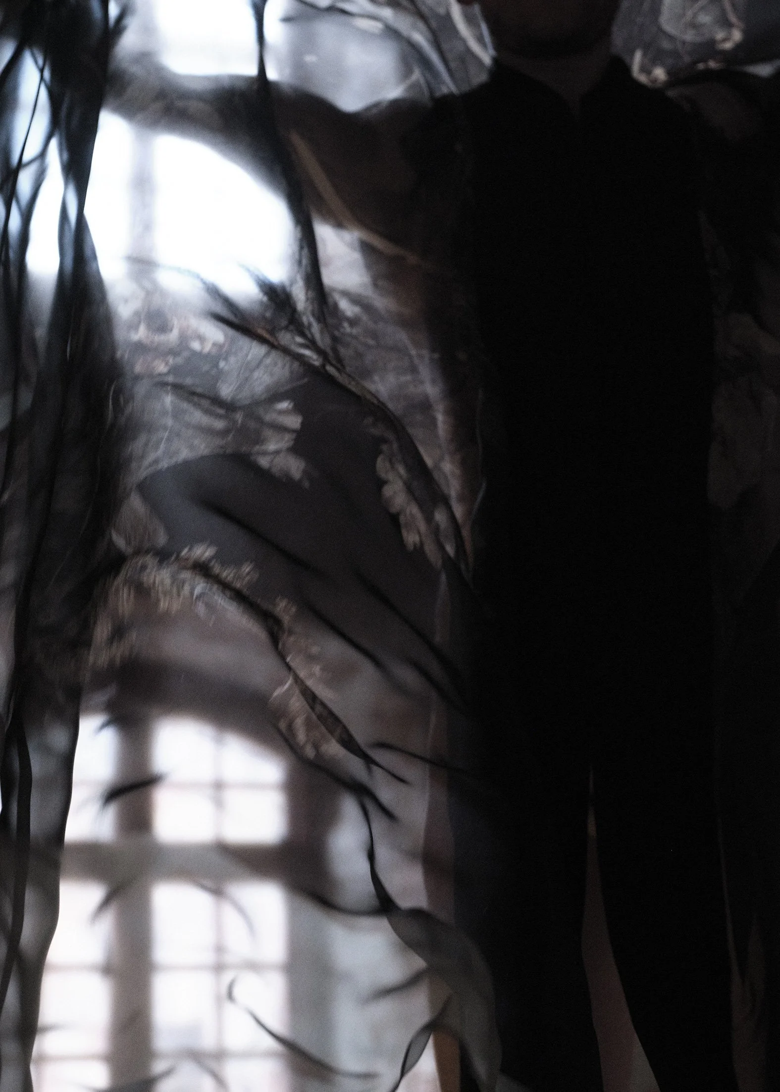 The Windthrow17.jpeg