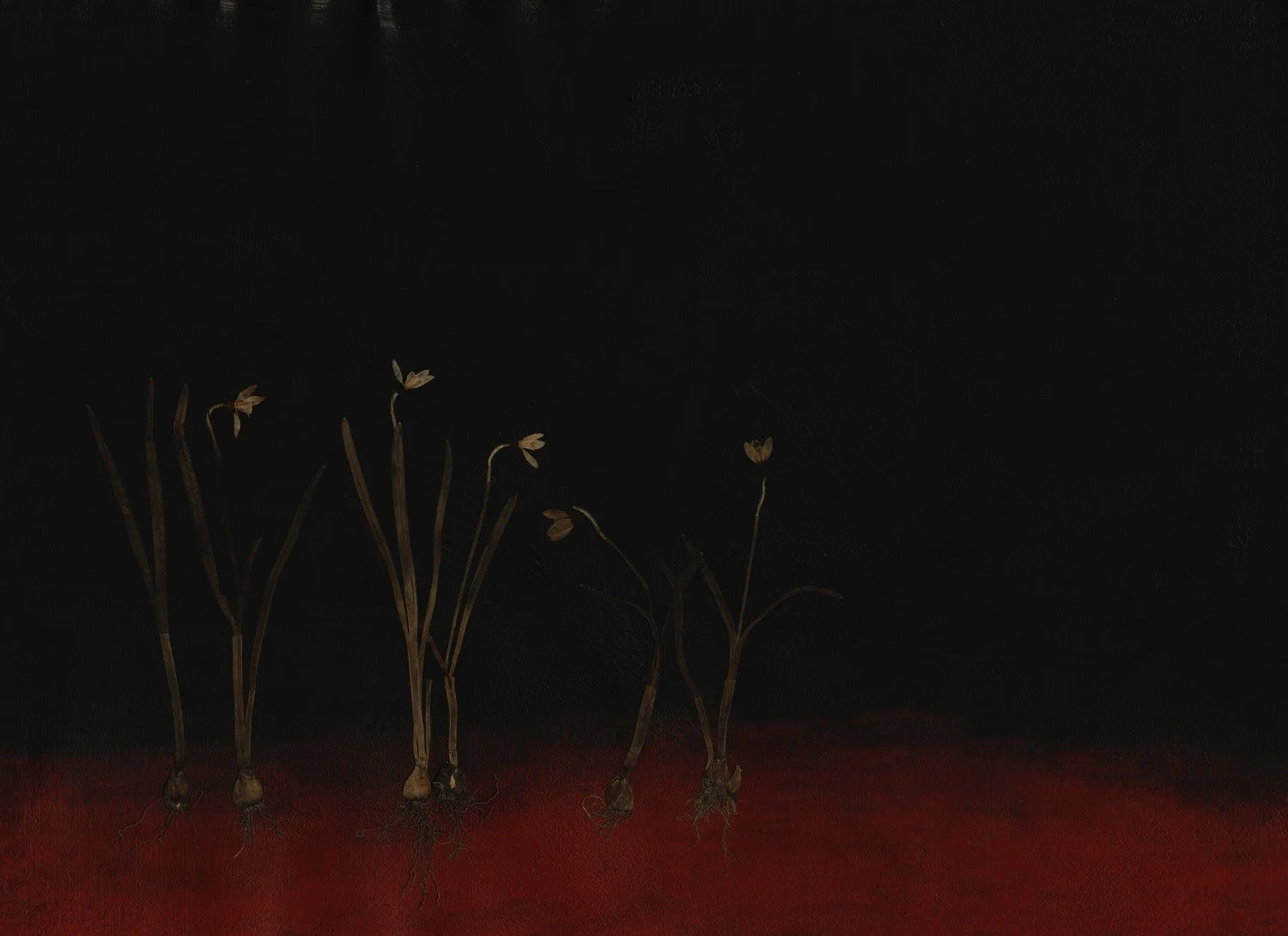 Snowdrop kopiera.jpg