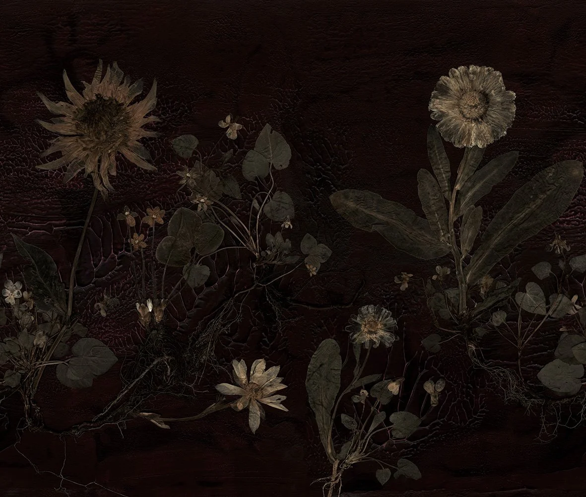 Plantlore.jpg