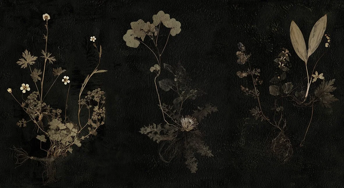 Triptych.jpg