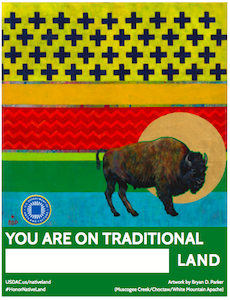 Bryan Parker's poster for #HonorNative Land