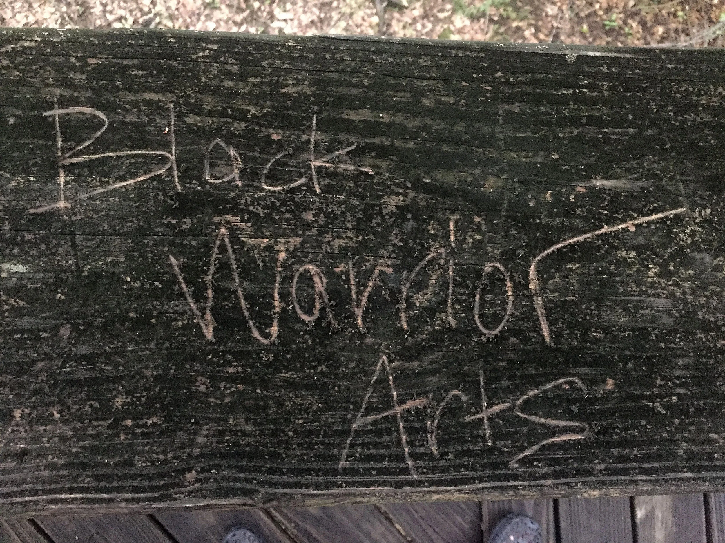 Tuscaloosa_2018_name.jpg