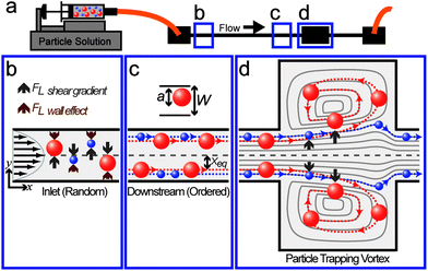 Centrifuge-on-a-Chip-Schematic.gif