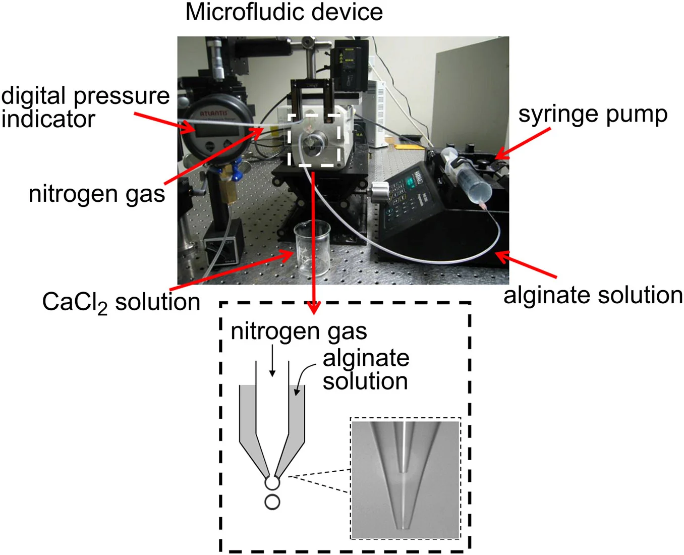 Scaffold_Microfluidic_Setup.jpg