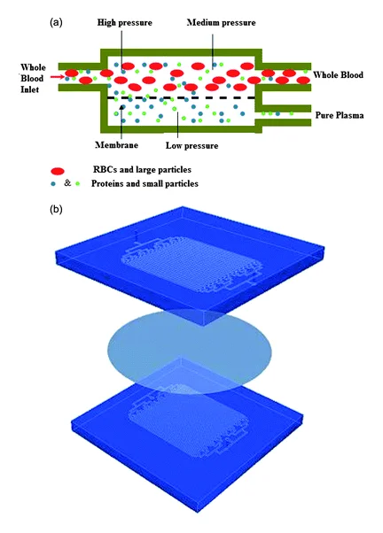 Filter membrane sandwiched between channels