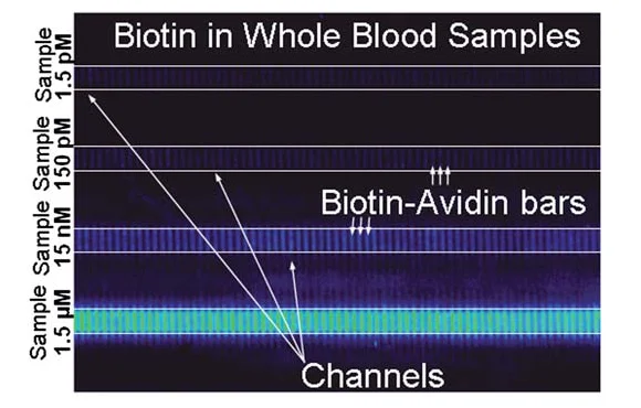 Detection of biotin at 1.5 pM, 150 pM, 15 nM & 1.5 µM