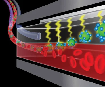 Clearing_sepsis_with_magnetic_microfluidics.jpg