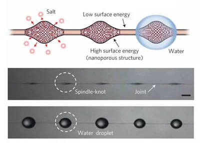 By leaching salt originally included in the fibers, structures are created that attract the water on the microfibers