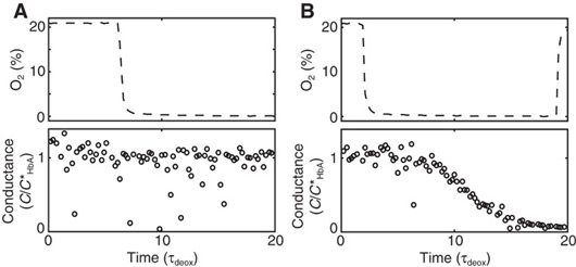 Blood from a patient with benign sickle cell disease (A) and sever sickle cell disease (B) were both subjected to changes in oxygen concentration, indicated by the top panels. This resulted in drastically different changes in conductance, which could distinguish the two types of patients.