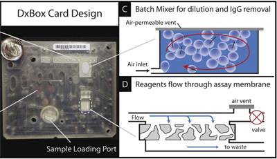 The proposed card is compact and intended to integrate with the DxBox. All sample processing occurs on-card including IgG filtration. This also depicts the porous nitrocellulose membrane of the FMIA which provides high assay surface area.